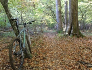  Ruta en bicicleta de cerro en Finisterre
